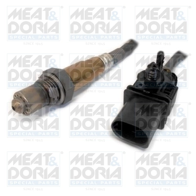 Oxygen Sensor